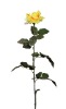 Wholesale Plants,Flower,Artificial Decoration