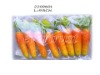 Wholesale high quality artificial carrots for Easter decoration
