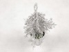 Wholesale Artificial plants,christmas tree in the pot