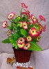 Wholesale artificial wild flower