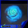 flashing rose