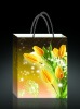 pp gift bag , shopping bag