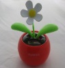 Solar flower
