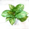 artificial plant