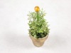 Artificial plants, christmas tree in the pot