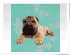 3d animal card