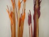 Artificial Grass