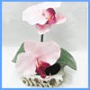 artificial plants,bonsai plants