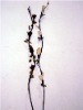 Wholesale Natural Artificial Dry Flower YX