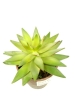 Wholesale Artificial Echeveria In Purple Green