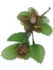 Wholesale Artificial Plant