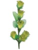Wholesale Hand-made Flower/S036