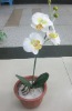 Wholesale artificial plant