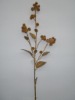 Wholesale artificial plant