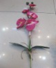 artificial plant
