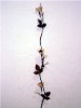 Natural Artificial Dry Flower YX