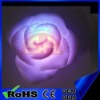 flashing rose