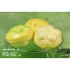 2011 hot artificial food