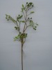 artificial plant