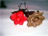 Wholesale Natural Artificial Dry Flower YX