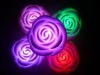 Wholesale led rose light