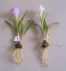 Wholesale Artificial Crocus Flower