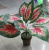 Wholesale artificial plant