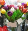 Wholesale artificial plant