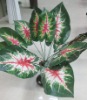 Wholesale artificial plant