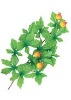 Wholesale Artificial Leaves