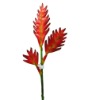 Wholesale Artificial Bromelia Stem