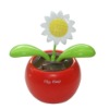 sunflower solar