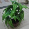 artificial plant