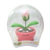 flower solar