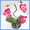 artificial plants,bonsai plants