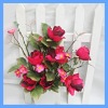 artificial plants,bonsai plants