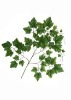 Wholesale Artificial Leaves