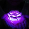 Wholesale plastic rose with led