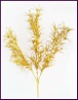Green Grass Glitter Artificial Plant