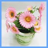artificial plants,bonsai plants