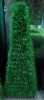 Wholesale Artificial grass tower KWD -A3005(decorative grass ball ; artificial topiary grass ball)