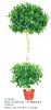 Artificial Ficus Tree