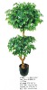 Artificial Bay Tree
