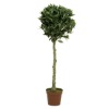 Artificial Bay Tree