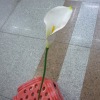 Wholesale artificial plant