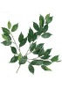 Wholesale Artificial Leaves