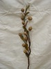 Pure Hand Made Artificial Flowers