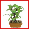 Artificial bonsai
