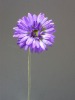 decorative flower gerbera (27021F)