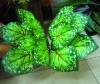 artificial plant